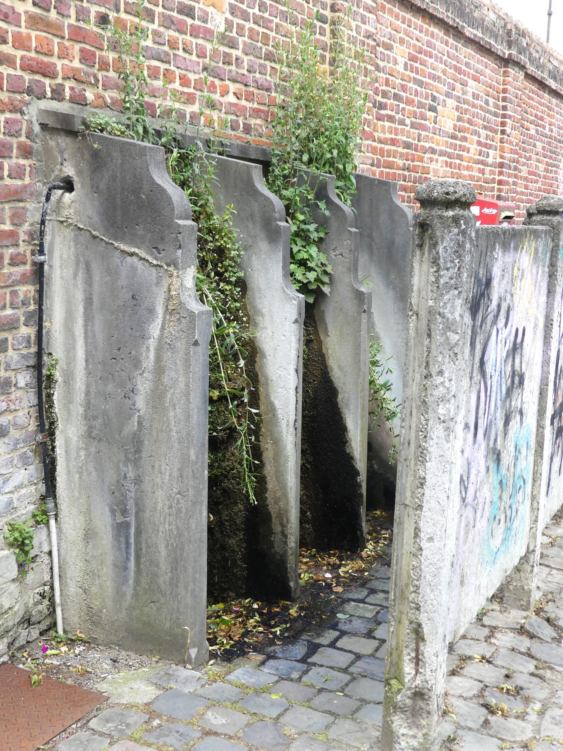 Bezoek plantenwerkgroep aan Leuven