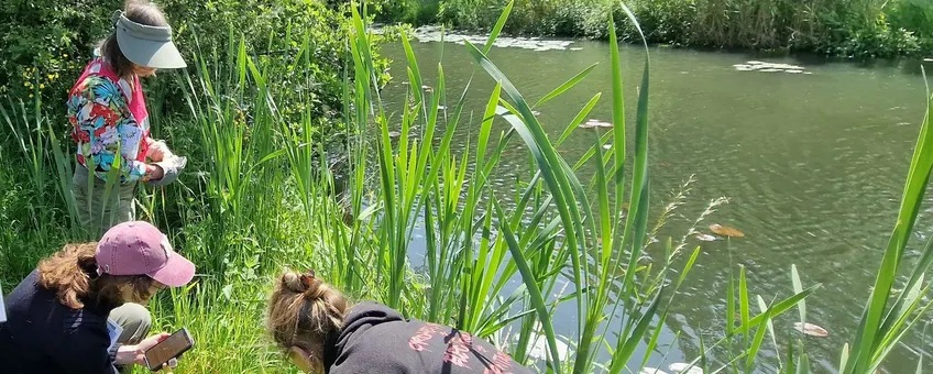 Ontdek de oevers bij jou in de buurt en draag bij aan een levende tijdlijn
